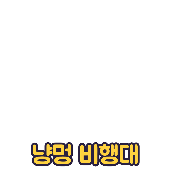 냥멍 비행대